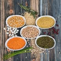 Pulses